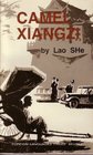 Camel Xiangzi (Phoenix Books)