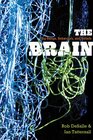 The Brain Big Bangs Behaviors and Beliefs
