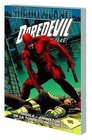 Daredevil Shadowland