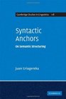 Syntactic Anchors On Semantic Structuring