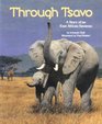 Through Tsavo  A Story of an East African Savanna