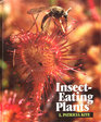 Insect Eating Plants
