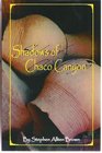 Shadows of Chaco Canyon: Historical Mystery-fiction