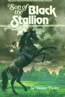 Son of the Black Stallion (Black Stallion, Bk 3)