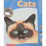 Cats -  (Features Transparent Pages)