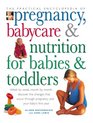 The Practical Encyclopedia of Pregnancy Babycare  Nutrition for Babies  Toddlers