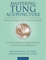 Mastering Tung Acupuncture  Distal Imaging for Fast Pain Relief 2nd Edition
