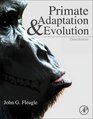 Primate Adaptation and Evolution Third Edition 3rd Edn