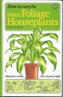How to Care for More Foliage Houseplants