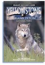 Yellowstone and Grand Teton National Parks (Wildlife Watcher\'s Guide)