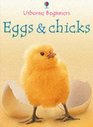 Eggs and Chicks