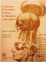 L'anatomia di Leonardo Fra Mondino e Berengario