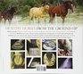 The Essential Hoof Book: The Complete Modern Guide to Horse Feet - Anatomy, Care and Health, Disease Diagnosis and Treatment