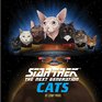 Star Trek The Next Generation Cats