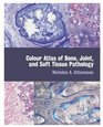 Colour Atlas of Bone Joint and Soft Tissue Pathology