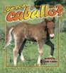 Que Es Un Caballo/what Is a Horse