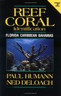 Reef Coral Identification Florida Caribbean Bahamas