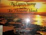 Big Cypress Swamp and the Ten Thousand Islands Eastern America's Last Great Wilderness