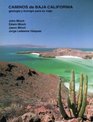 Caminos de Baja California Geologia y Biologia para su Viaje