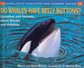 Do Whales Have Belly Buttons Questions and Answere About Whales and Dolphins