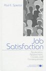 Job Satisfaction  Application Assessment Causes and Consequences