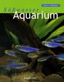 Swasser Aquarium