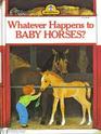Whatever Happens to BABY HORSES