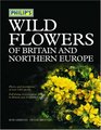 Philip's Wild Flowers of Britain and Northern Europe