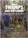 American Swamps and Wetlands