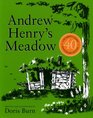 Andrew Henry's Meadow