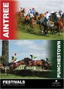 The Aintree and Punchestown Festivals Betting Guide 2009
