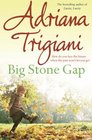 Big Stone Gap (Big Stone Gap, Bk 1)