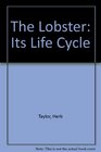 The Lobster Its Life Cycle