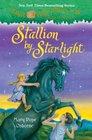 Magic Tree House #49: Stallion by Starlight (A Stepping Stone Book(TM))