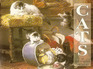 Cats an Illustrated Treasury