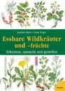 Essbare Wildkruter und frchte Erkennen sammeln und genieen