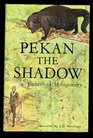 Pekan the Shadow