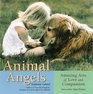 Animal Angels Amazing Acts of Love and Compassion