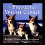 The Pembroke Welsh Corgi  Family Friend and Farmhand