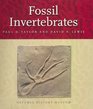 Fossil Invertebrates