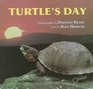 Turtle's Day