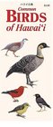 Common Birds of Hawaii