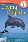 Diving Dolphin