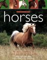 The Book of Horses An Encyclopedia of Horse Breeds