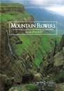 Mountain Flowers A Field Guide to the Flora of the Drakensberg and Lesotho
