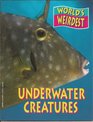 World's Weirdest Underwater Creatures