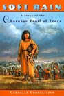 Soft Rain : A Story of the Cherokee Trail of Tears