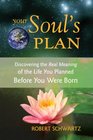 Your Soul's Plan (aka Courageous Souls)
