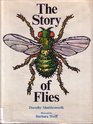 The Story of Flies