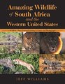 Amazing Wildlife of South Africa and the Western United States Wildlife I Have Enjoyed Getting to Know and Photograph